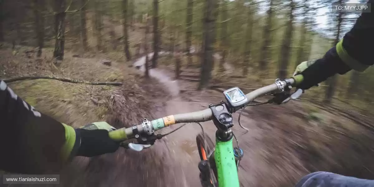 全球赛事，一键直达！📱🔥 你的专属体育直播间，热血永不离线！